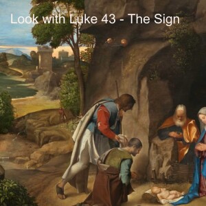 Look with Luke 43 - The Sign