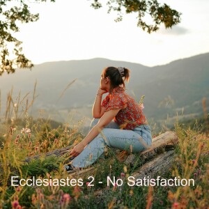 Ecclesiastes 2 - No Satisfaction