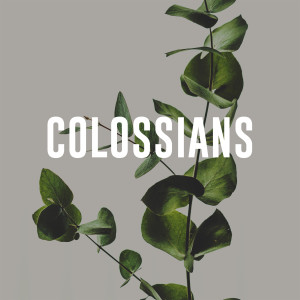 Colossians 3:18 - 4:2 
