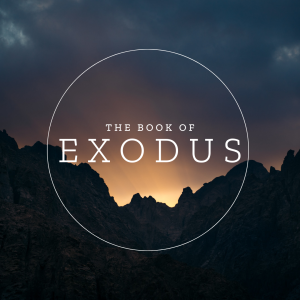 Exodus ”The Relationship Changed” Week 29