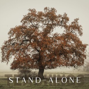 Stand Alone Teaching: Suffering