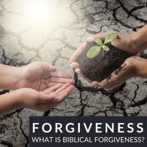 Introduction to Forgiveness