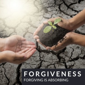 Forgiving As Absorbing