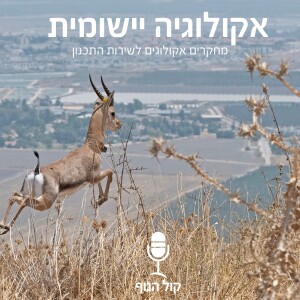 אקולוגיה יישומית- מחקרים אקולוגים לשירות התכנון