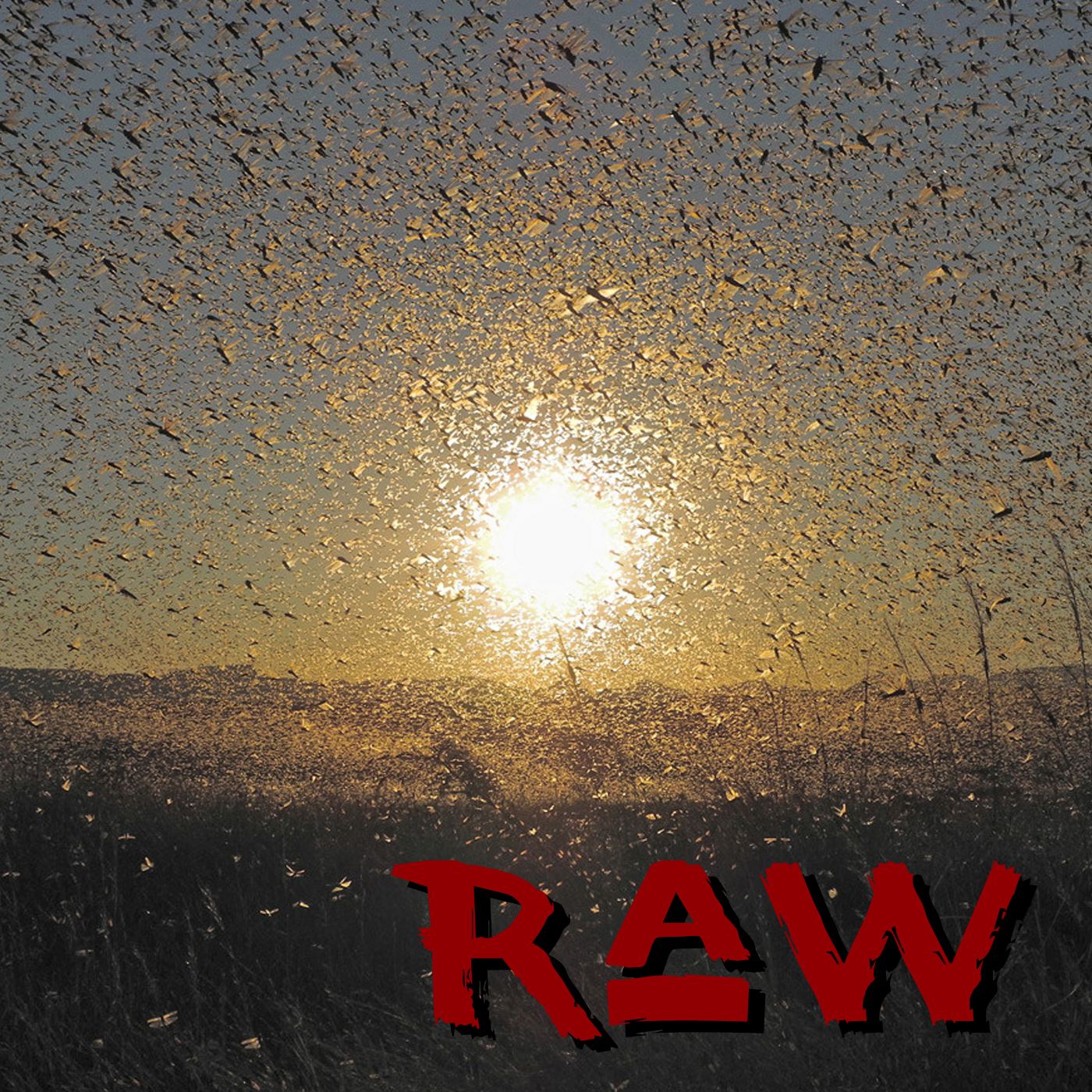 Raw 0031: The Swarms of Holy Hyperbole - Revelation Unleashed