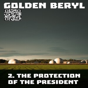 2. The Protection of the President