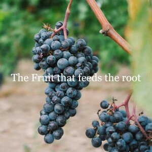 The Fruit that feeds the root - Zandre Duvenhage