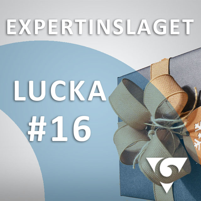 Expertinslaget