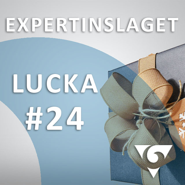 Expertinslaget
