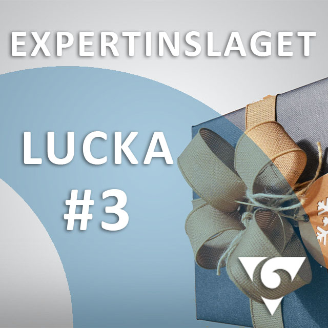 Expertinslaget