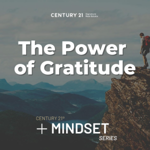 Positive+ Mindset: The Power of Gratitude