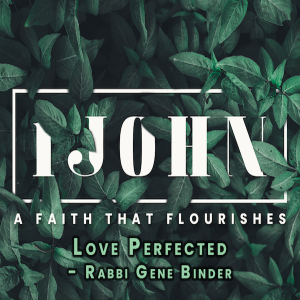 Love Perfected - Rabbi Gene Binder