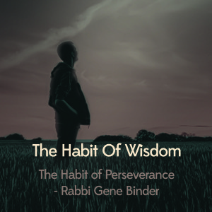 The Habit of Perseverance - Rabbi Gene Binder
