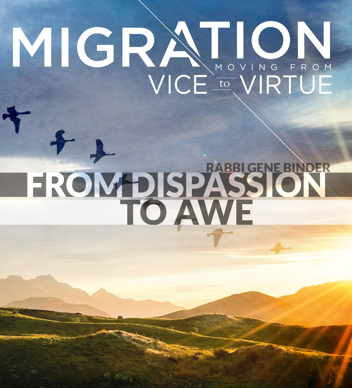Migration: Dispassion to Awe ~ Rabbi Gene Binder