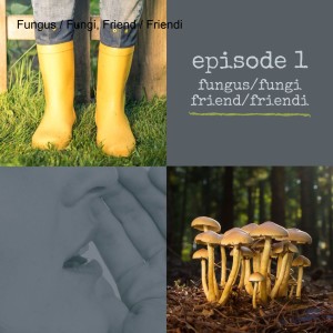 Fungus / Fungi, Friend / Friendi