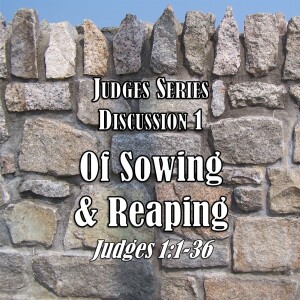Judges Series - Discussion 1: Of Sowing and Reaping (Judges 1:1-36)