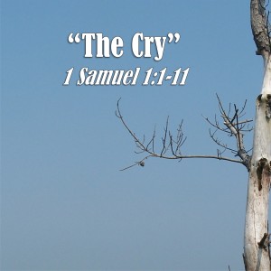 1 Samuel Series - Discussion 1: The Cry (1 Samuel 1:1-11)
