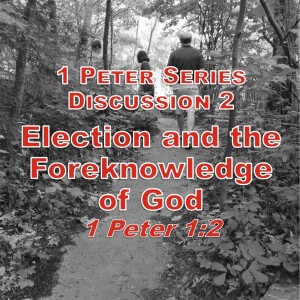 S02 E21 1 Peter Series - Discussion 2: Election and the Foreknowledge of God (1 Peter 1:2a)