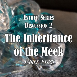 Esther Series - Discussion 2: The Inheritance of the Meek (Esther 2:1-23)