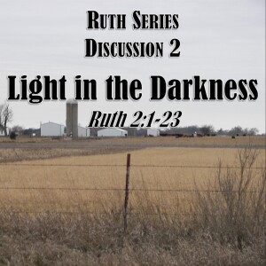 Ruth Series - Discussion 2:  Light in the Darkness (Ruth 2:1-23)