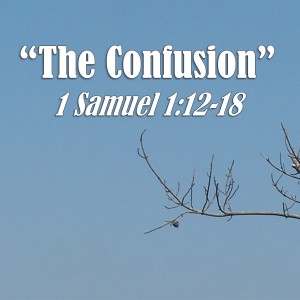 1 Samuel Series - Discussion 2: The Confusion (1 Samuel 1:12-18)