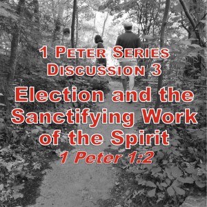 S02 E22 1 Peter Series - Discussion 3: Election and the Sanctifying Work of the Spirit (1 Peter 1:2b)