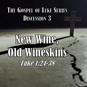 Luke Series - Discussion 3: New Wine, Old Wineskins (Luke 1:24-38)