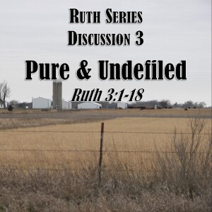 S06 E42 Ruth Series - Discussion 3:  Pure & Undefiled (Ruth 3:1-18)