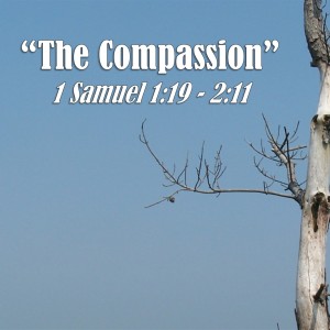 1 Samuel Series - Discussion 3: The Compassion (1 Samuel 1:19 - 2:11)