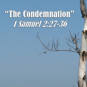 1 Samuel Series - Discussion 6: The Condemnation (1 Samuel 2:27-36)