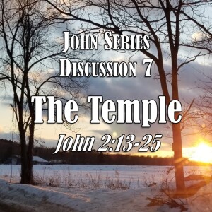 John Series - Discussion 7: The Temple (John 2:13-25)