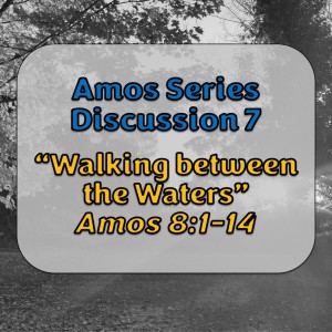 Amos Series - Discussion 7: Walking between the Waters (Amos 8:1-14)