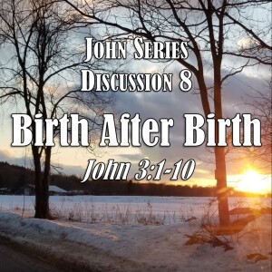 John Series - Discussion 8: Birth after Birth (John 3:1-10)