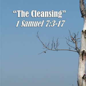 1 Samuel Series - Discussion 9: The Cleansing (1 Samuel 7:3-17)