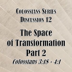 Colossians Series - Discussion 12: The Space of Transformation - Part 2 (Colossians 3:18 - 4:1)