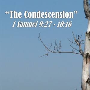 1 Samuel Series - Discussion 12: The Condescension (1 Samuel 9:27 - 10:16)