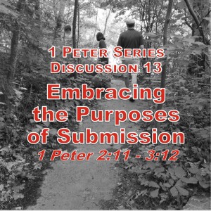 S02 E32 1 Peter Series - Discussion 13: Embracing the Purposes of Submission (1 Peter 2:11 - 3:12)