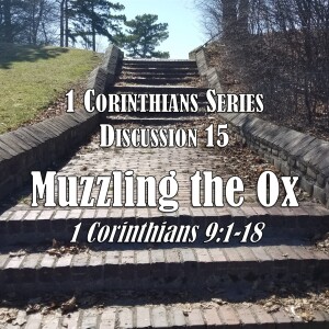 1 Corinthians Series - Discussion 15: Muzzling the Ox (1 Corinthians 9:1-18)