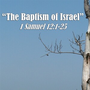 1 Samuel Series - Discussion 15 - The Baptism of Israel (1 Samuel 12:1-25)
