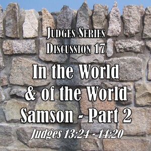Judges Series - Discussion 17: In the World and of the World - Samson Part 2 (Judges 13:24 - 14:20)