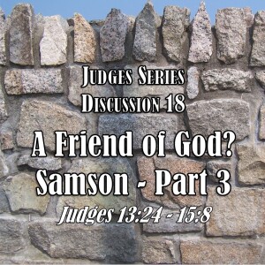 Judges Series - Discussion 18: A Friend of God? - Samson Part 3 (Judges 13:24 - 15:8)