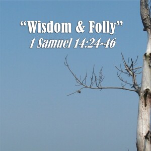 1 Samuel Series - Discussion 18: Wisdom and Folly (1 Samuel 14:24-46)