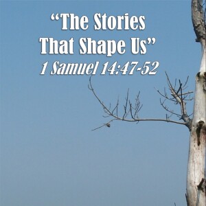 1 Samuel Series - Discussion 19: The Stories That Shape Us (1 Samuel 14:47-52)