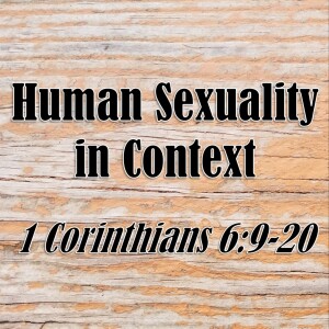 S08 E06 Human Sexuality in Context (1 Corinthians 6:9-20)