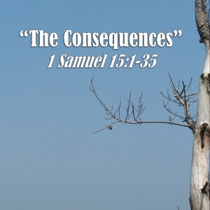 1 Samuel Series - Discussion 20: The Consequences (1 Samuel 15:1-35)