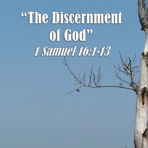 1 Samuel Series - Discussion 21: The Discernment of God (1 Samuel 16:1-13)
