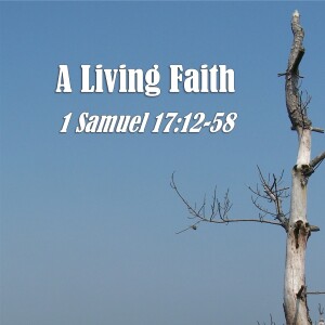 1 Samuel Series - Discussion 24: A Living Faith (1 Samuel 17:12-58)