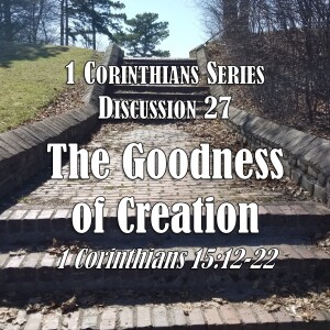 1 Corinthians Series - Discussion 27: The Goodness of Creation (1 Corinthians 15:12-22)