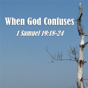 S13 E28 1 Samuel Series - Discussion 28: When God Confuses (1 Samuel 19:18-24)