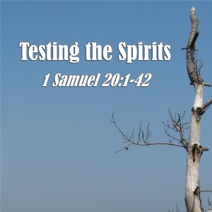1 Samuel Series - Discussion 29: Testing the Spirits (1 Samuel 20:1-42)